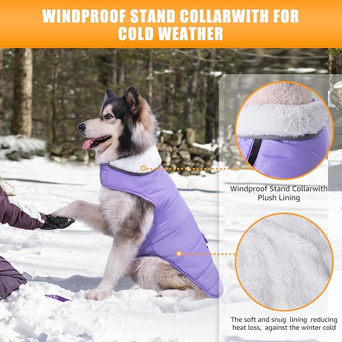 iBuddy Dog Winter Jackets with Fleece Vest,Waterproof Warm Dog Snow Jacket Windproof, Reflective Adjustable Pet Dogs Cold Winter Coat for Large Dogs Girl Boy