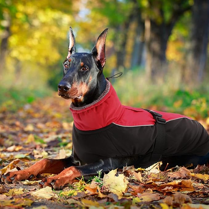 IDOMIK Dog Winter Coat, Reflective Waterproof Dog Jacket for Cold Weather, Warm Pet Coats for Small Medium Large Dogs, High Collar Doggy Fleece Snow Jacket, Winter Vest with Adjustable Buckle,L