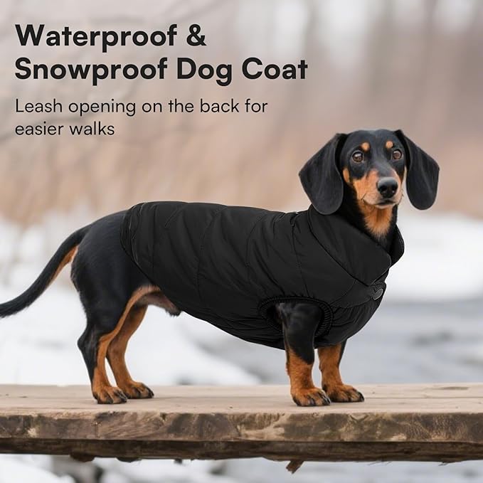 ASENKU Windproof Dog Winter Coat Waterproof Fleece Jacket Cold Weather Pet Apparel for Small Medium Large Dogs (Black, XL)