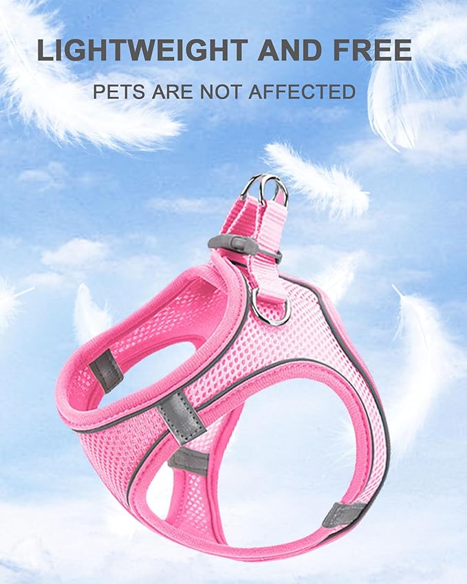 XXS Red Soft Mesh Dog Harness and Leash Set,No Escape Puppy Harnesses for Training Walking， Reflective Adjustable Puppy Vest for Small Medium Dogs, Cats (Red, XXS)