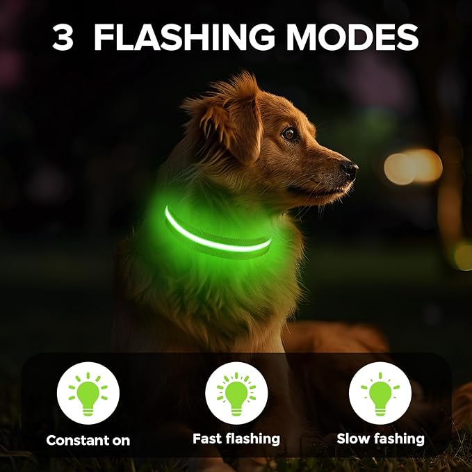 Light Up Dog Collar, Adjustable USB Rechargeable Glow in Dark Dog Collar ，Waterproof Dog Collars for Small Dogs (Green, Small)