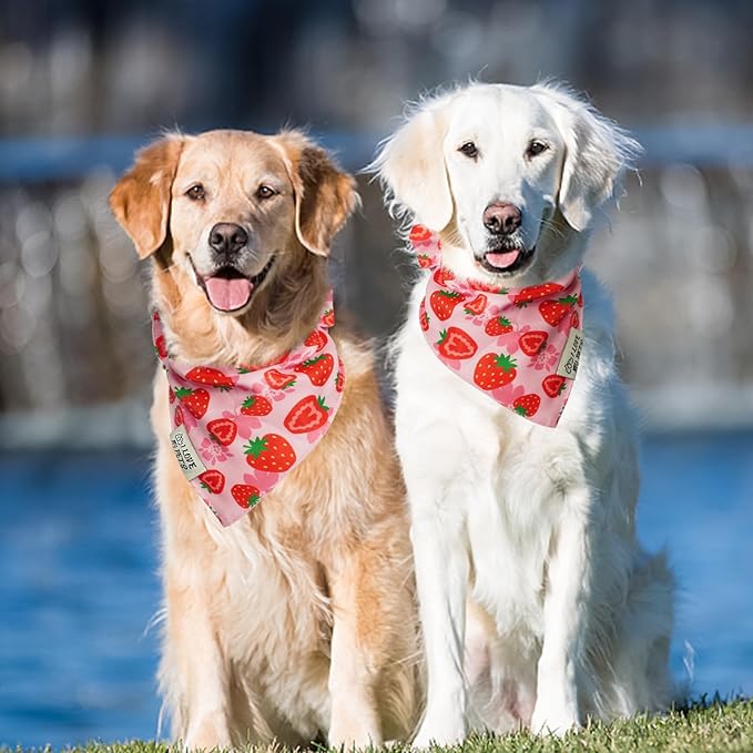 SCENEREAL Summer Dog Bandana, Double Side Dog Scarf for Small Medium Large Dogs Cats Puppy,Holiday Bandanas for Dogs Boys Girls, Premium & Soft Fabric Pet Accessories for Birthday Party Days, (Size L)