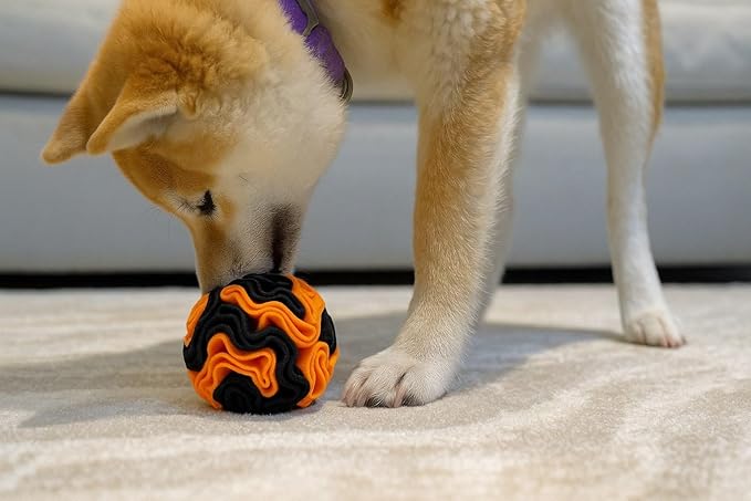 Glory To Dog Puppy and Small Breed Snuffle Interactive Foraging Dog Puzzle Ball Toy Halloween Orange and Black