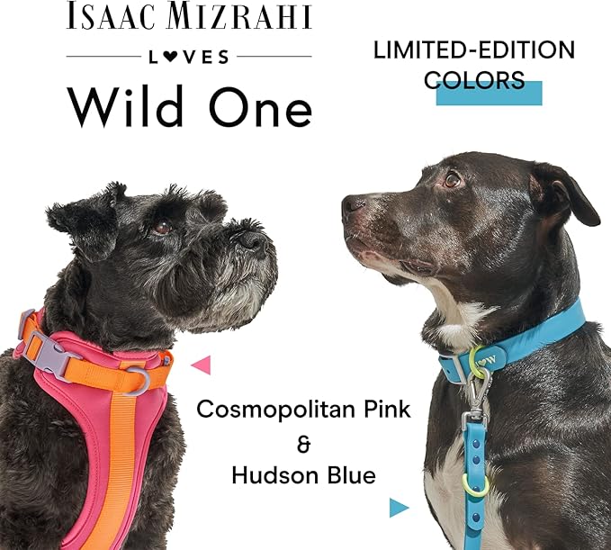 Wild One, Limited Edition, Designer Collection, Blue Dog Collar, Easy-Clean, All Weather Flex-Poly Strap with Metal, Durable, Dirt and Odor Resistant, XSmall