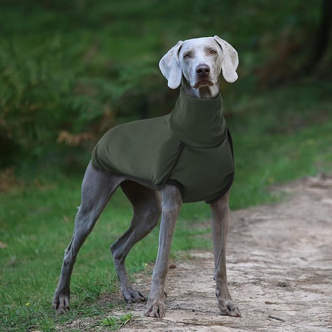 ROZKITCH Dog Winter Coat Soft Pullover Pajamas, Pet Windproof Warm Cold Weather Jacket Vest Cozy Jumpsuit Apparel Outfit Clothes for Walking Hiking Travel Sleep Green XS