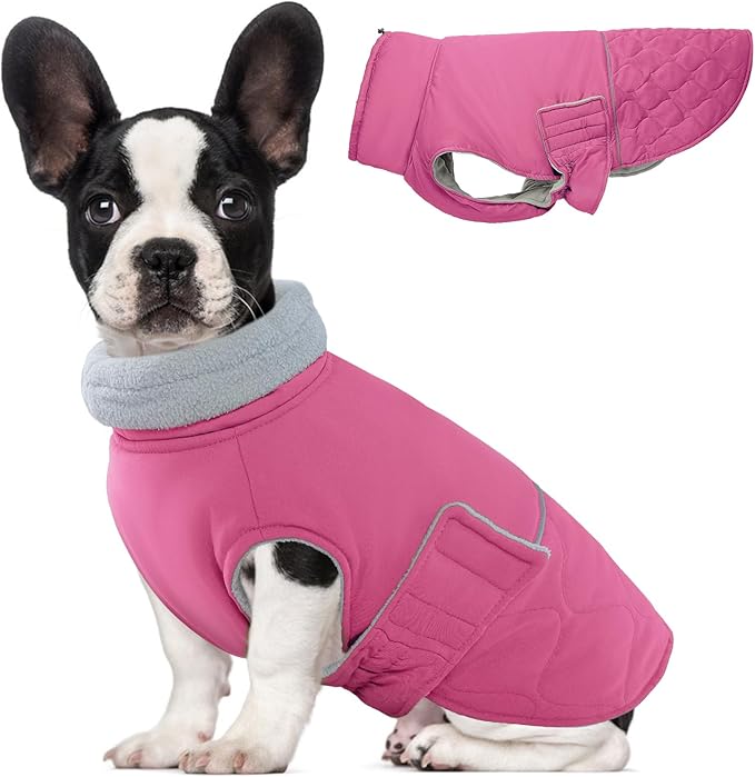 BRKURLEG Dog Winter Jacket, Warm Dog Winter Coats for Small and Medium Large Dogs, Reflective Adjustable Pet Cold Weather Coats, Waterproof Dogs Snow Jacket Clothes Fleece Vest (M, Rose Red)
