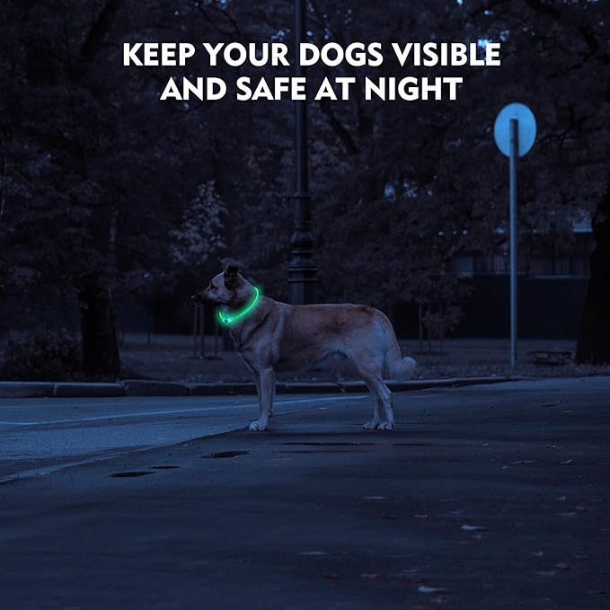 LED Dog Collar, Rechargeable Light Up Dog Collars,IP67 Waterproof Dog Lights for Night Walking，Adjustable, Reusable Safety Necklace for Small Medium Large Dogs (Red)