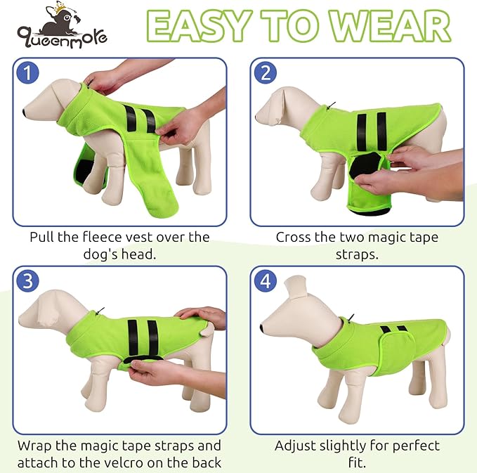 Queenmore XXS Soft Fleece Vest Pullover Dog Jacket with Leash Hole, Warm Winter Clothes for Small Dogs & Cats, Boy or Girl (Green, XXS)