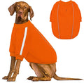 Queenmore Cozy Fleece Dog Sweater XXL, Soft Pullover Dog Sweatshirt, Warm Winter Fleece Jacket with Leash Hole/Reflective Stripes for Small Medium Large Dogs Orange