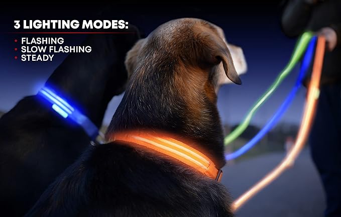 Illumiseen LED Dog Collar USB Rechargeable - Bright & High Visibility Lighted Glow Collar for Pet Night Walking - Weatherproof, in 6 Colors & 6 Sizes (Red X-Large)