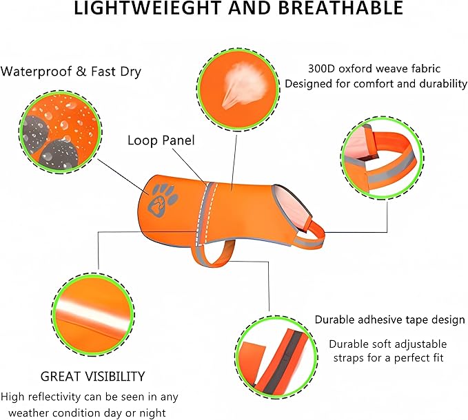 Reflective Safety Vest, High Visibility Keep Dogs Visible Outdoor Activity Day and Night, Hunting and Walking, Jacket for Small, Medium and Large Dogs (Blaze Orange, L)