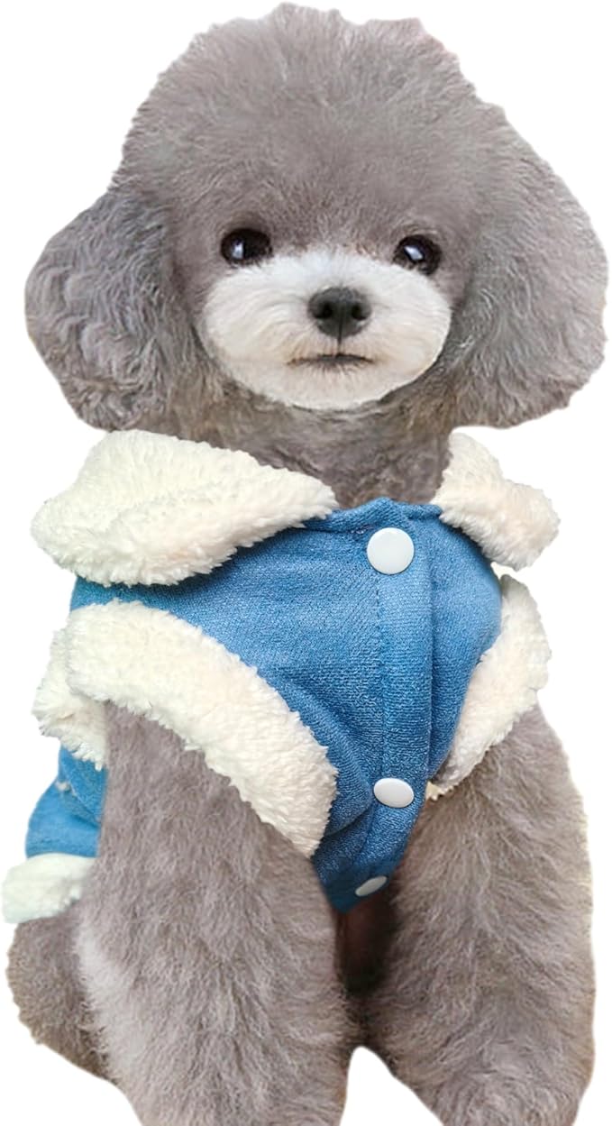 Jecikelon Bowtie Dog Cold Weather Coat Fleece Lining Warm Pet Puppy Turtleneck Dogs Winter Clothes for Small Dogs with D-Ring (Blue, Medium)