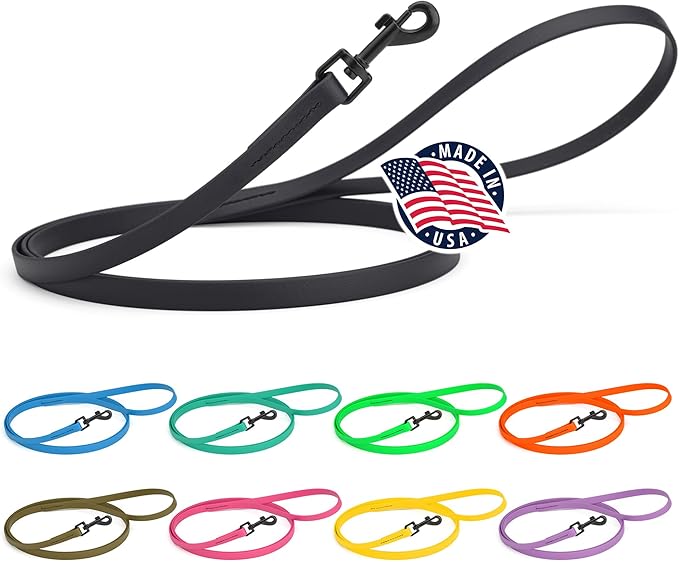 Dogline Biothane Waterproof 4ft Dog Leash Strong Coated Nylon Webbing with Black Hardware Odor-Proof Easy to Clean High Performance for Small or Large Dogs Made in USA 4ft Lead, Black
