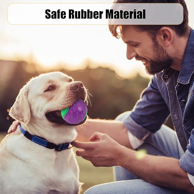 Dog Balls, 4-Pack Squeaky Dog Ball, Large and Medium Sized Dogs, Interactive Dog Toys for Play Exercise and Training 2.5 Inch Easy Catching Dog Toys
