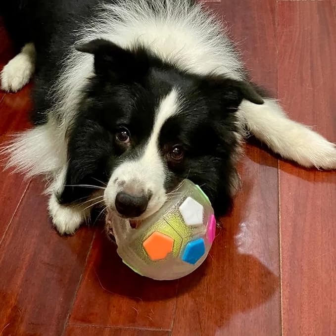 Dog Calming Ball with Handle for Dogs, 2026 New Interactive Football Shape Dog Toy, TPR Chewable Material, Squeaky, Water Play, Training & Outdoor Games (White)