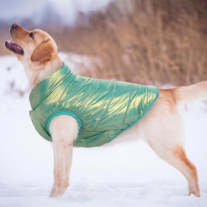 ASENKU Dog Winter Coat - Waterproof Windproof Dog Jacket, Warm Snowproof Doggie Puffer Vest for Cold Weather, Lightweight Snow Coats for Small Medium Large Dogs (Mint Green, S)