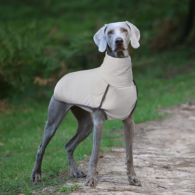ROZKITCH Dog Winter Coat Soft Pullover Pajamas, Pet Windproof Warm Cold Weather Jacket Vest Cozy Jumpsuit Apparel Outfit Clothes for Walking Sleep Grey M