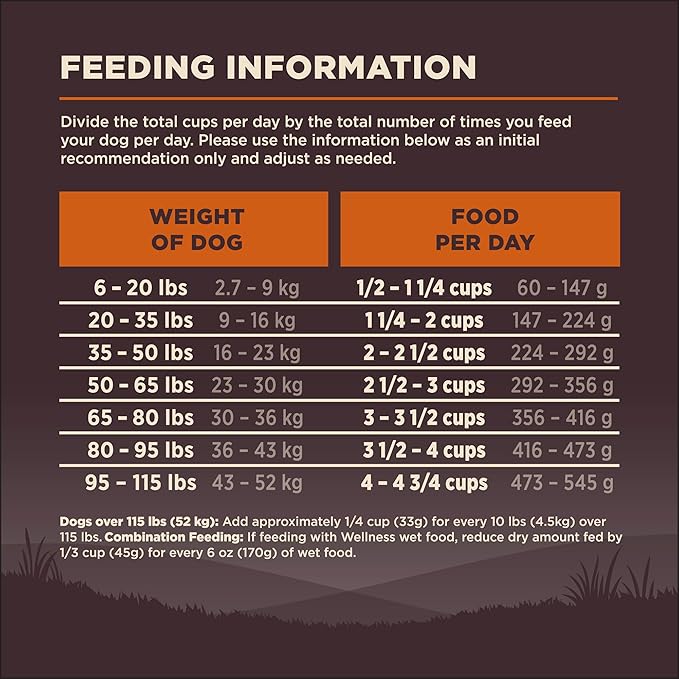 Wellness Natural Pet Food Wellness CORE Wholesome Grains Original Recipe, 24 Pound Bag