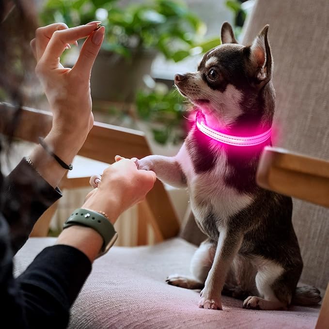 YFbrite Light up Dog Collars for Night Walking, Rechargeable LED Cat Collar, Comfortable Adjustable Lighted Dog Collar Rechargable for Cats, Small, Medium and Large Dogs (Pink, XS)