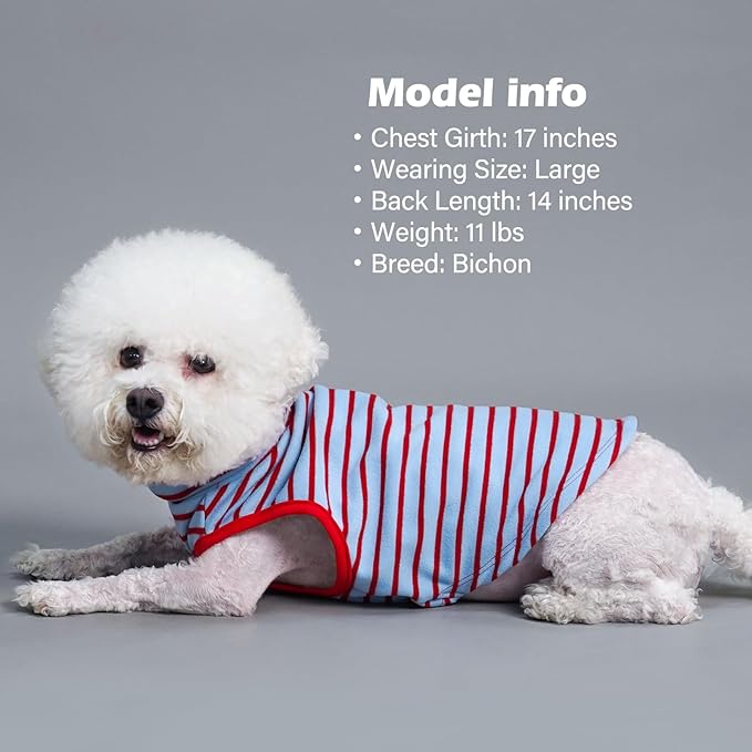 KYEESE 2Pack Dog Sweater Soft Dogs Clothes Warm Dachshund Clothes Stretchy Pet Sweatshirt Dog Sweaters for Small Dogs Girl Turtleneck Pet Coats Pullover Small Pets Sweaters