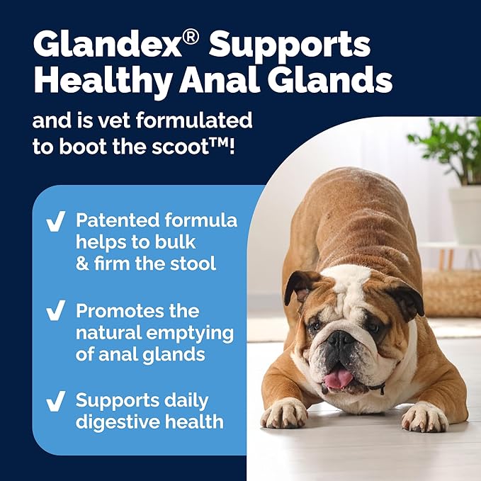Vetnique Glandex Dog Fiber Supplement Powder for Anal Glands with Pumpkin, Digestive Enzymes & Probiotics - Vet Recommended (Regular or Advanced Strength) - Boot The Scoot (4.0 oz, Salmon)