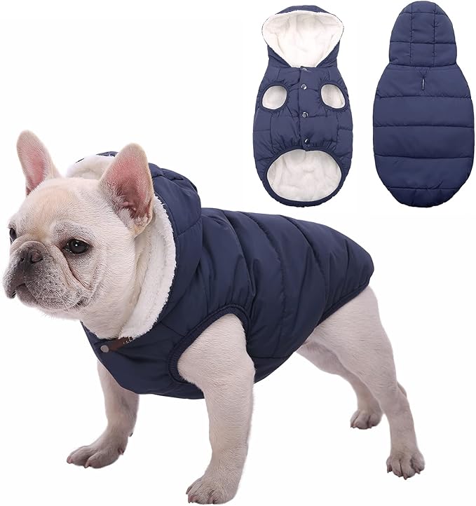 Fleece Hoodie, Windproof Waterproof Coat, Winter Warm Jacket, Cold Weather Pet Apparel Clothes Vest for Small Medium Large Dogs (M, Blue)