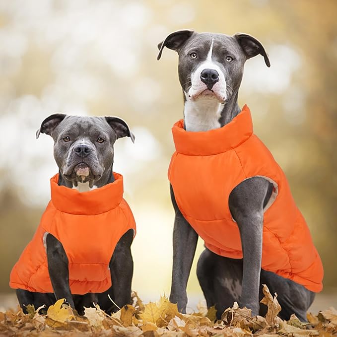 Kuoser Dog Coat Puffer Vest, Warm Dog Jacket Windproof Dogs Cold Weather Coats Pet Snowsuit Padded Vests, Lightweight Puppy Winter Clothes for Small Medium Dogs, Button Design, Easy On/Off, Orange M