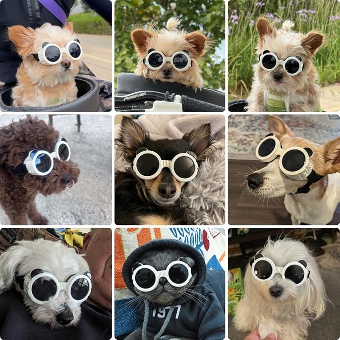 Dog Sunglasses for Small Breed, Small Dog Goggles for Puppy Cats, Goggles Eye Protection Windproof Dustproof Anti-UV with Adjustable Straps Pet Glasses Outdoor, Black-White
