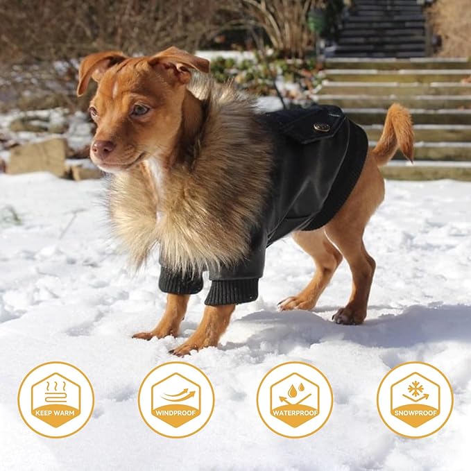 PETLESO Dog Coat for Small Dogs, Dog Leather Jacket Waterproof Windproof, Double Layer Warm Dog Winter Coat with Plush Lined, Black M