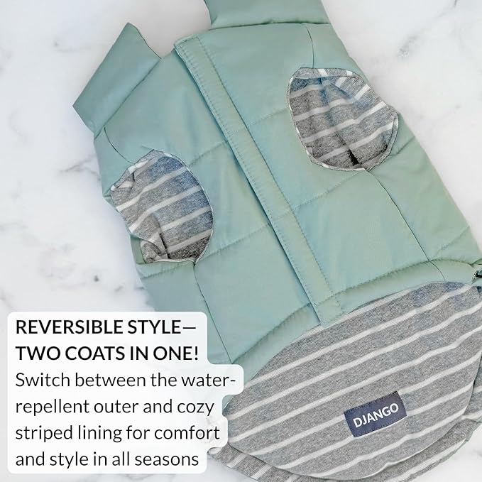 DJANGO Puffer Dog Coat – Warm Winter Dog Jacket & Water-Repellent Insulated Puffer Vest with Striped Lining, Harness Hole, Adjustable Fit for Small & Medium Dogs, Dachshunds – Sea Foam Green, Medium