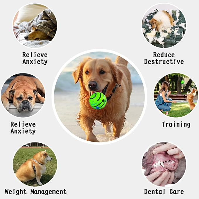 HYQ Interactive Ball for Small Medium Large Dogs - Squeaky Puppy Toy to Keep Them Busy - 5.51 Inch