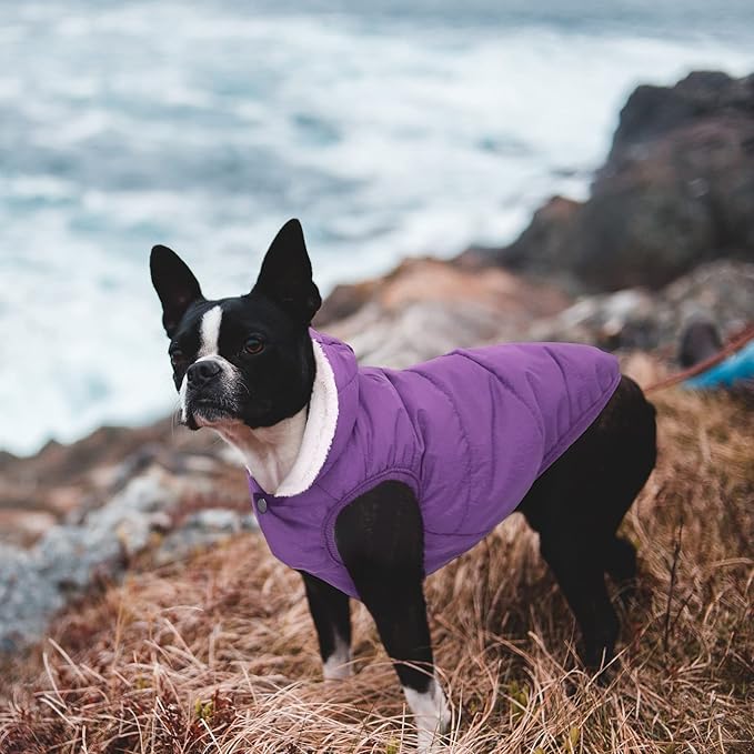 Fleece Hoodie for Dogs - Windproof Waterproof Coat, Winter Warm Jacket, Cold Weather Pet Apparel Clothes Vest for Small Medium Dogs (S, Purple)