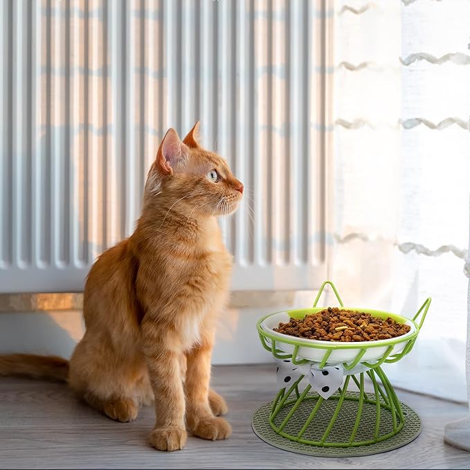 4-in-1 Elevated Pet Food Bowls - Ceramic, Non-Slip, Dishwasher Safe, Whisker-Friendly Stand for Cats & Puppies