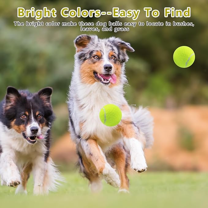 Magicorange 6 Pack Small Tennis Balls, 2 inch Squeaky Tennis Ball for Dogs,Colorful Easy Catching Squeaky Dog Balls with Mesh Bag for Easy Transport (Yellow)