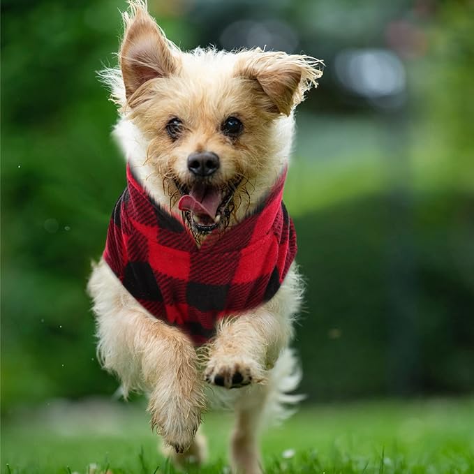 KAMA BRIDAL Spring Autumn Winter Coat Pullover Fleece Vest for Cats Small and Medium Dogs Thin Sweater Red & Black Plaid (Red, XXS)