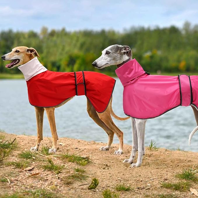 Dog Raincoat with Reflective Bar, Rain/Water Resistant, Adjustable Vest - Dog Raincoats for Greyhounds, Lurchers and Whippets - Red - XXL