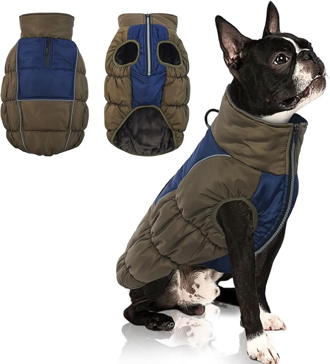 IECOii Medium Dog Coat - Waterproof, Fleece Lined, Reflective, Warm Winter Jacket