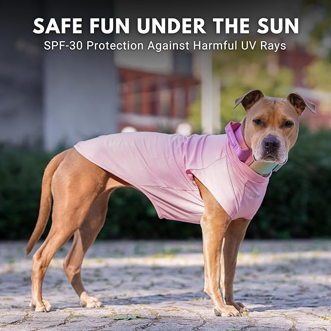 Spark Paws Sunblock Dog T-Shirt, SPF30 Protection, Lightweight Breathable Quick Dry for Dogs with Sensitive Skin - Purple & Pink (Set of 2) - 4XL