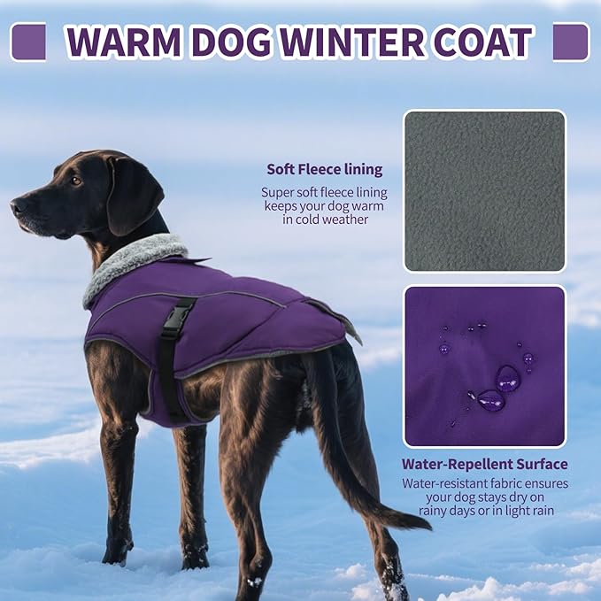 DENTRUN Dog Winter Coat - Windproof Reflective Jacket, Plush Turtleneck & Adjustable Belt, Water Repellent Fleece Lined Cold Weather Vest for Corgi Bulldog, Purple, L