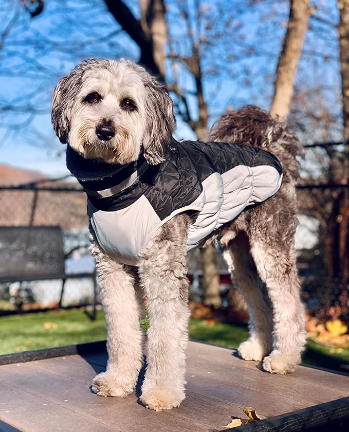 Lelepet Dog Coat Warm Dog Winter Coat Waterproof Dogs Jacket with Harness Built in Reflective Pet Fleece Vest Zip-Up Cold Weather Coats for Medium Dogs Turtleneck & Windproof Coats Dachshund Black M