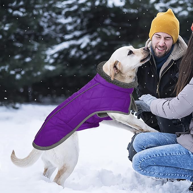 Fragralley Dog Coat Large, Waterproof Dog Jacket with Warm Fleece Lining, Adjustable Reflective Dogs Winter Coat, Turtleneck Pet Coats for Cold Weather (Purple XXL)