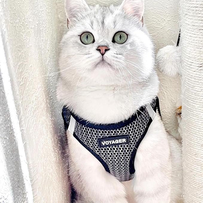 Best Pet Supplies Voyager Step-in Air Harness - All Weather Mesh, Reflective, No Pull Harness for Dogs, Cats - Secure with Hook & Loop Fastener, Buckle, Double D-Rings - Tone, XL