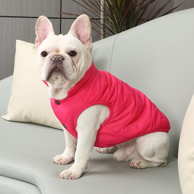 2 Layers Fleece Lined Warm Dog Jacket for Winter Cold Weather,Soft Windproof Large Dog Coat,Pink XXXL
