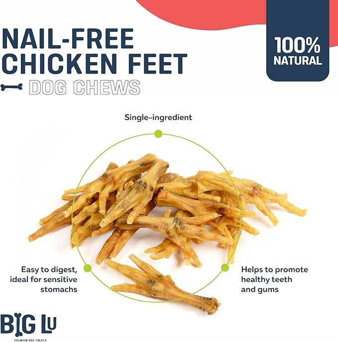 Big Lu – Nail-Free Chicken Feet Dog Chews, 100% Natural Single-Ingredient Treats, Rawhide-Free, Long-Lasting, Rich in Glucosamine and Chondroitin for Joint Health (60 Count)
