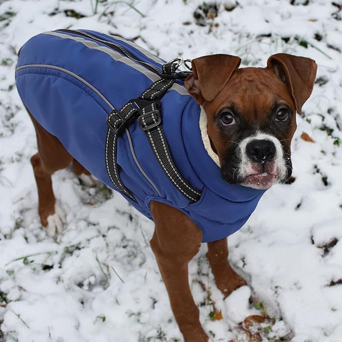 Dog Winter Coat with Harness Built in Warm Puffer Dog Jackets for Small Medium Large Dogs Windproof Waterproof Outfit with Plush Lining and Reflective Stripes (Blue, XL)