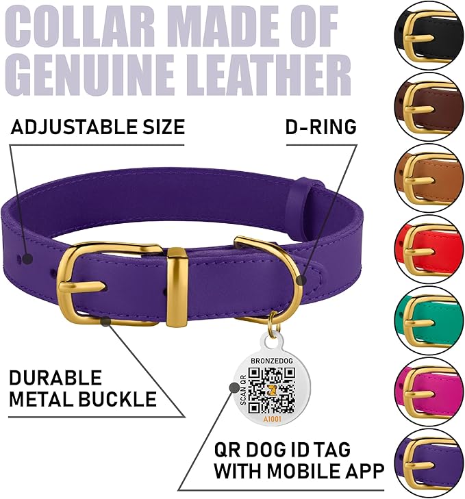 BRONZEDOG Leather Dog Collar with QR ID Tag Basic Pet Collars for Small Mini Dogs Cats Puppies (7-9 Inch (Pack of 1), Purple & Gold Buckle)
