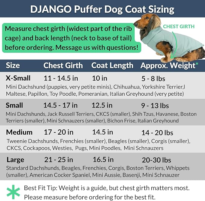DJANGO Puffer Dog Coat – Warm Winter Dog Jacket & Water-Repellent Insulated Puffer Vest with Striped Lining, Harness Hole, Adjustable Fit for Small & Medium Dogs, Dachshunds – Sea Foam Green, Small