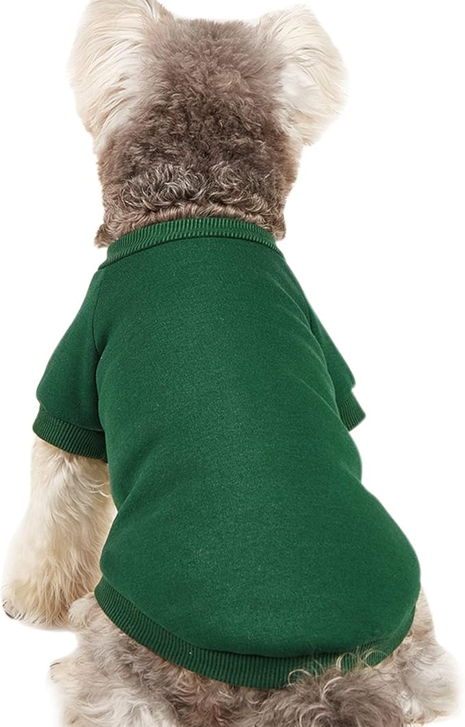 Puppy Sweater for Small Dogs Clothes Warm Winter Cat Clothe Pet Sweatshirt Knitwear Doggie Kitten Clothing, Green, X-Small