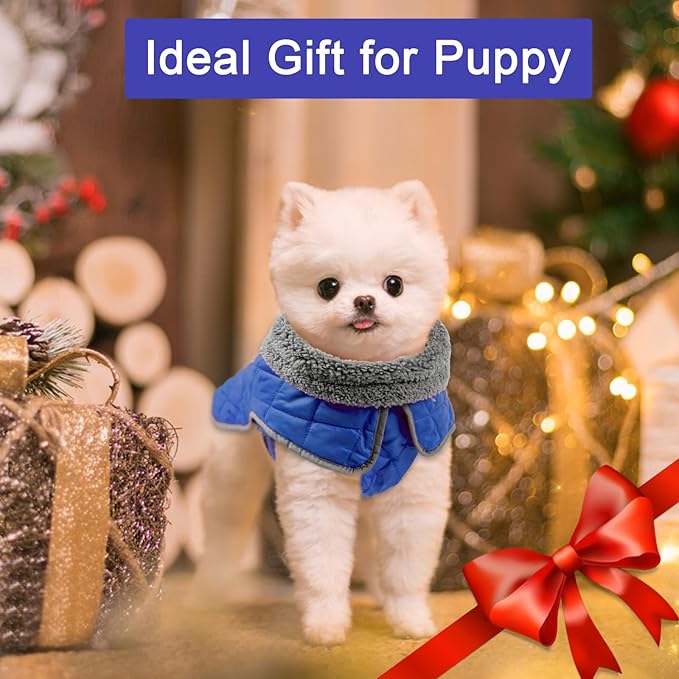 Fragralley Dog Winter Coat, Waterproof Windproof Reflective Fleece Jacket with Harness Hole, Warm Snow Vest for Small Medium Large Dogs, Ideal Gifts