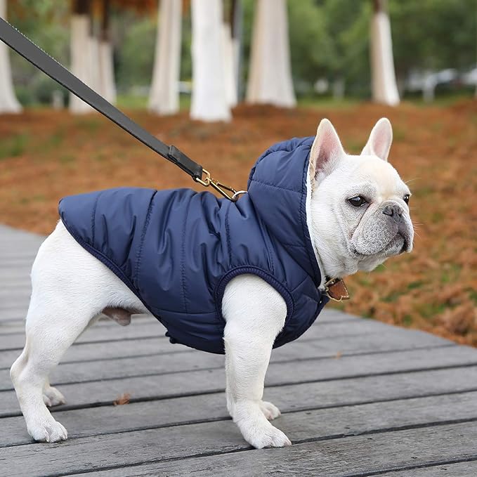 Fleece Hoodie, Windproof Waterproof Coat, Winter Warm Jacket, Cold Weather Pet Apparel Clothes Vest for Small Medium Large Dogs (M, Blue)